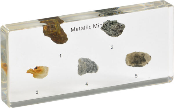 Kolekcja pięciu numerowanych próbek minerałów metalicznych zatopionych w bloku przezroczystej żywicy.