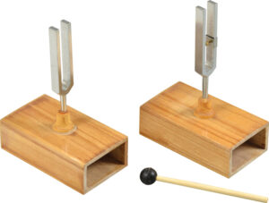 Kamertony rezonacyjne 440 Hz - z młoteczkiem - Pracownie przyrodnicze