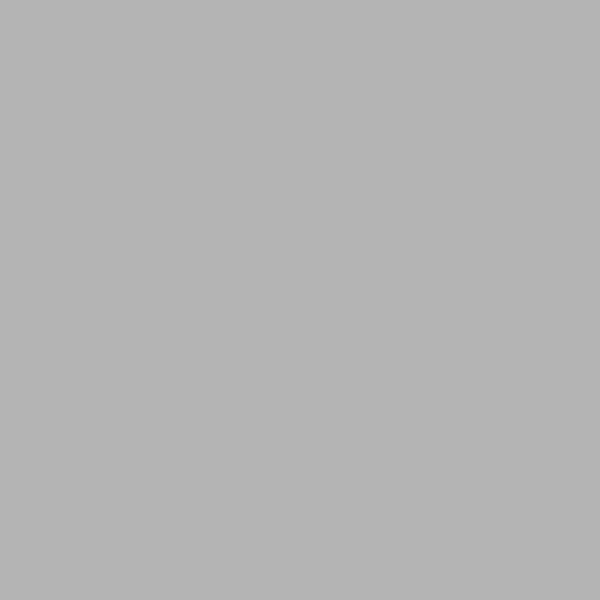 Aluminium ral 9006