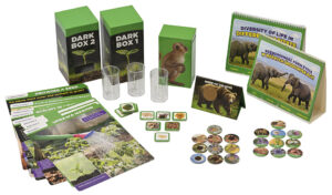 Projekt naukowy STEM - nasiona i rośliny - Educarium