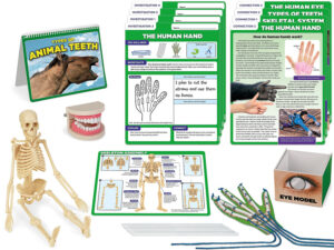 Projekt naukowy STEM - ciało człowieka - Educarium
