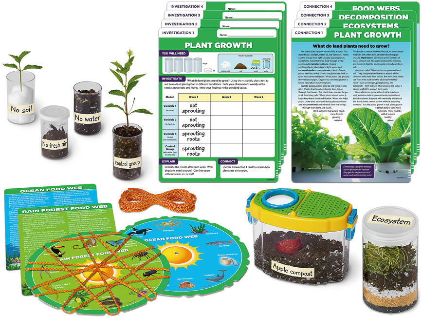 Projekt naukowy STEM - ekosystemy 3 Projekt naukowy STEM - ekosystemy -