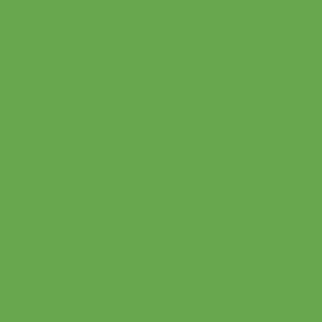Trawiasty ral 6018