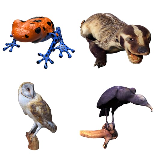 Kostka ClassVR Rzeczywistość Mieszana 5 Kostka ClassVR Rzeczywistość Mieszana -