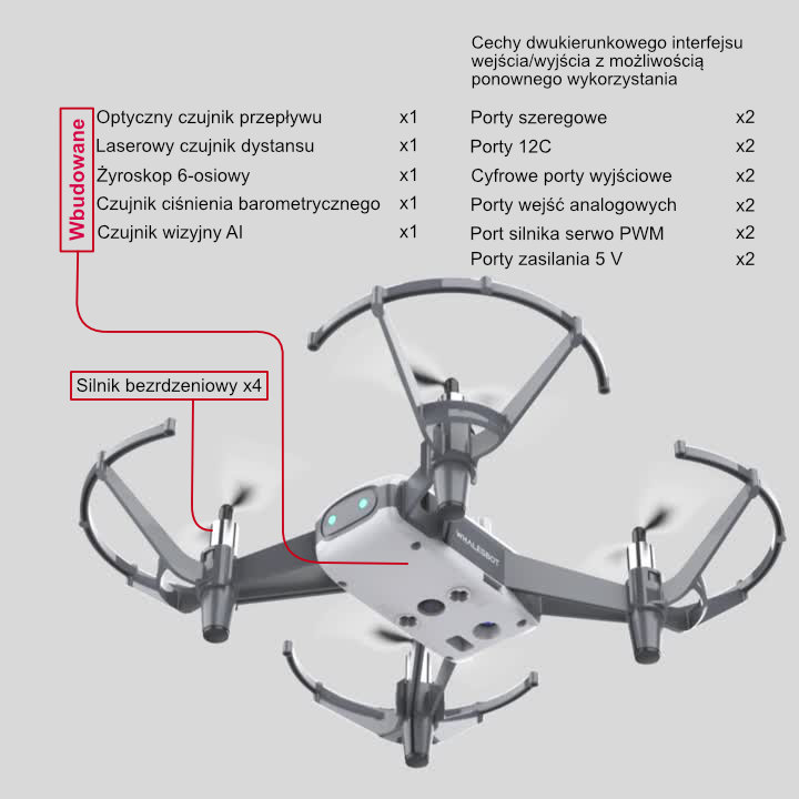 eagle-1003-whalesbot-interfejsy