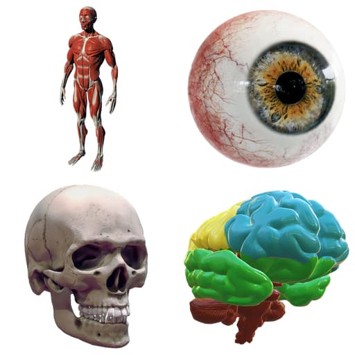 Kostka ClassVR Rzeczywistość Mieszana 10 Kostka ClassVR Rzeczywistość Mieszana -