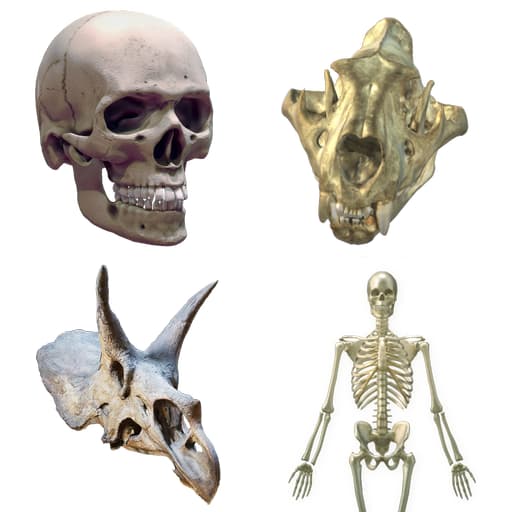 Kostka ClassVR Rzeczywistość Mieszana 15 Kostka ClassVR Rzeczywistość Mieszana -