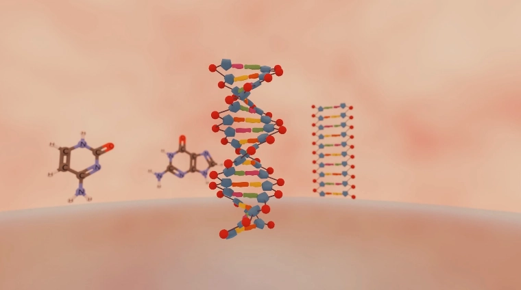 ClassVR - wirtualne laboratorium przedmiotowe zestaw 4 sztuk okularów Xplorer 128G -