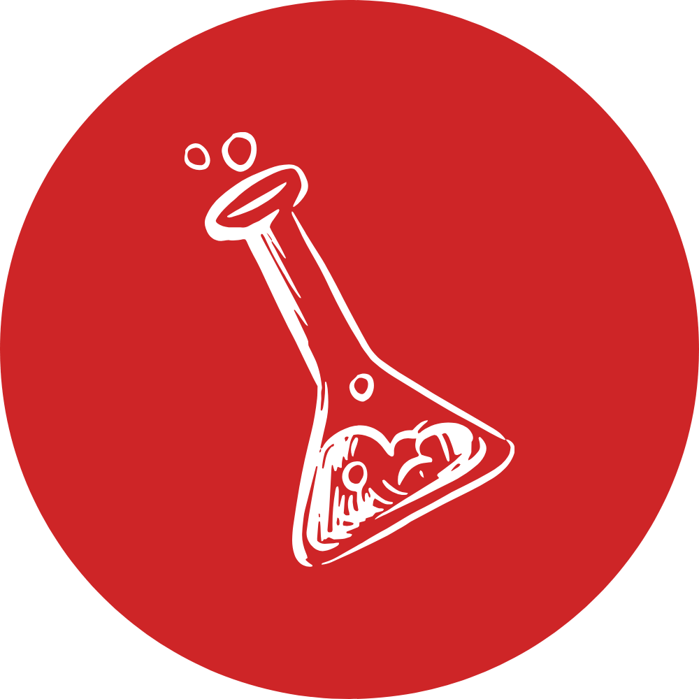 Zestaw Xcelerate 4szt + Eduverse Stem+CTE -
