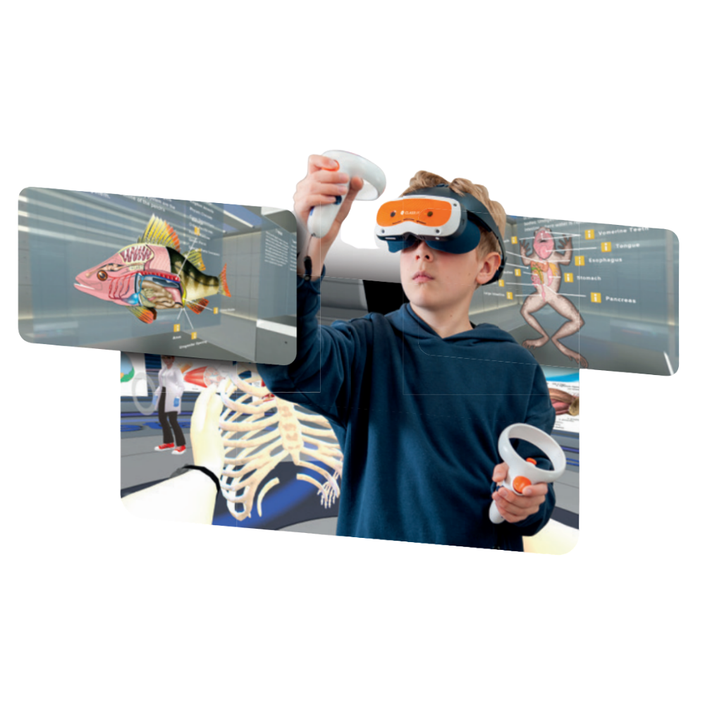 Zestaw Xcelerate 4szt + Eduverse Stem+CTE -
