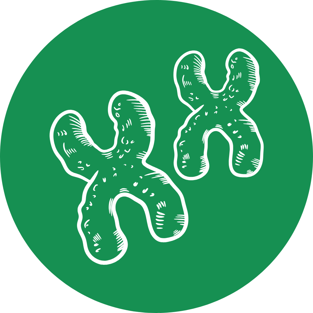 Zestaw Xcelerate 4szt + Eduverse Stem+CTE -